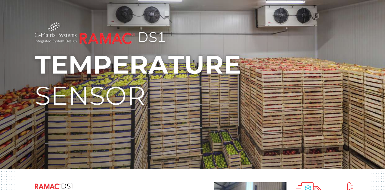 RAMAC Temperature Sensor
