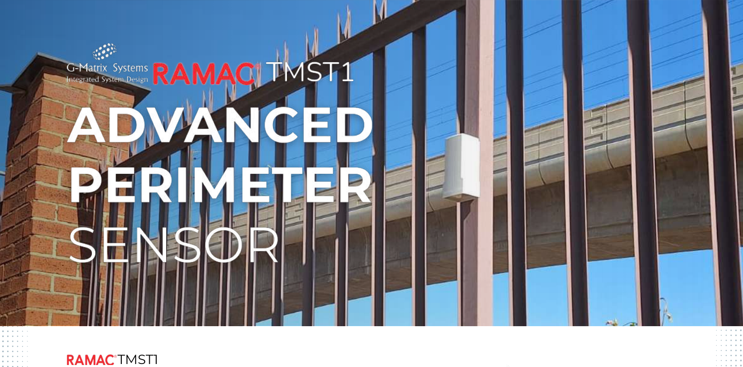 RAMAC Vibration Sensor